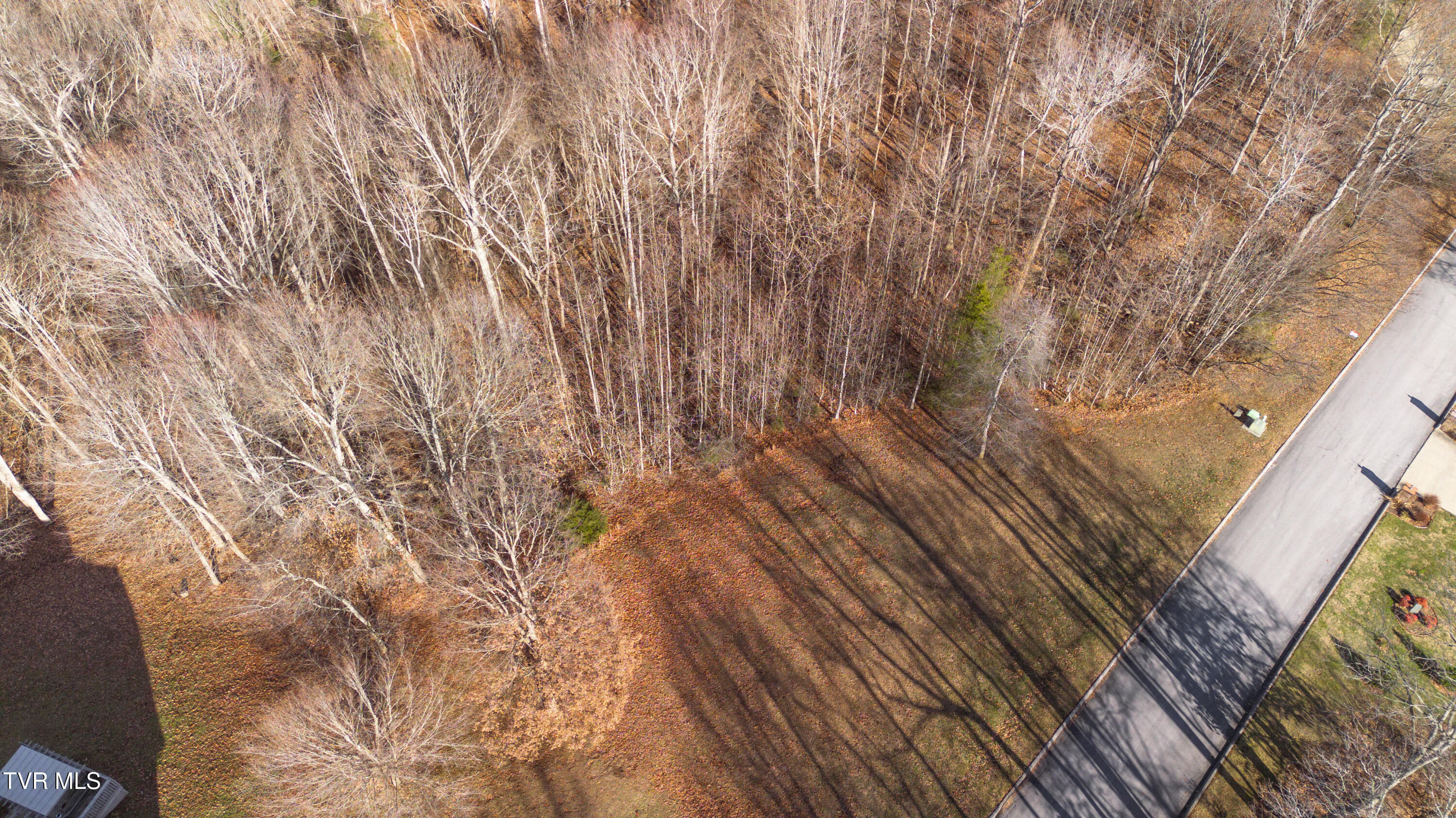 Tbd Allison Timbers Road, Unit 12 Piney Flats, TN 37686 - Photo 10 of 10 DJI_0031