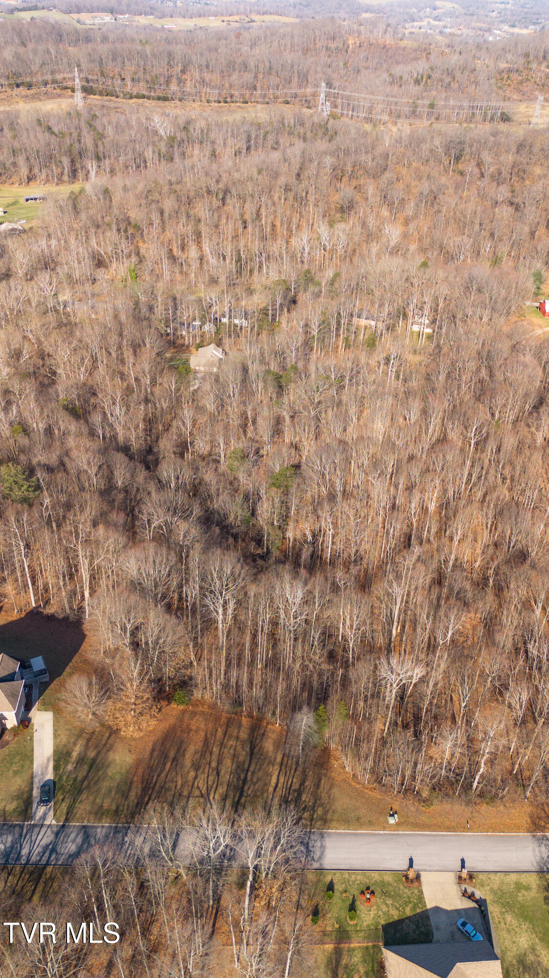 Tbd Allison Timbers Road, Unit 12 Piney Flats, TN 37686 - Photo 10 of 17 DJI_0008