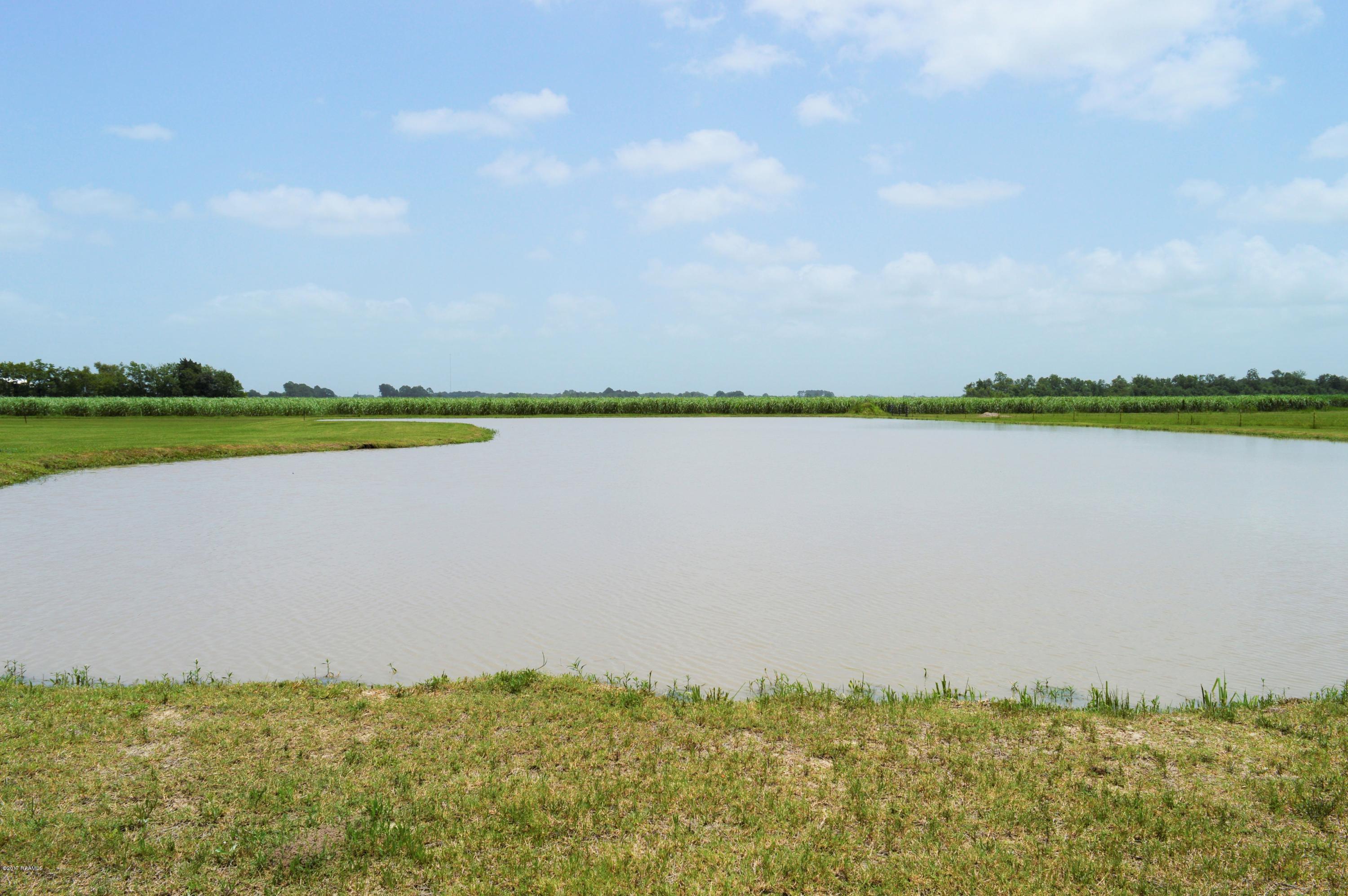 3905 Perkins Road Youngsville, LA 70592 - Photo 45 of 47 _DSC0148