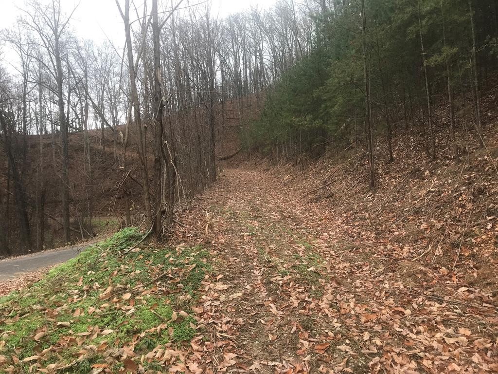 27 Spurling Road Sevierville, TN 37862 - Photo 1 of 1