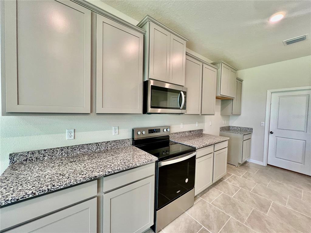 33869 Field Maple Loop Wesley Chapel, FL 33545 - Photo 11 of 37