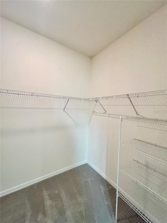 33869 Field Maple Loop Wesley Chapel, FL 33545 - Photo 17 of 37