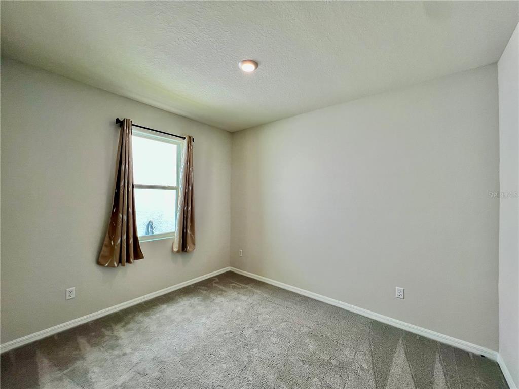 33869 Field Maple Loop Wesley Chapel, FL 33545 - Photo 20 of 37