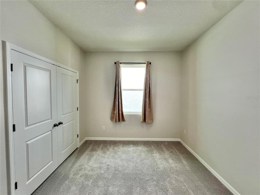 33869 Field Maple Loop Wesley Chapel, FL 33545 - Photo 21 of 37