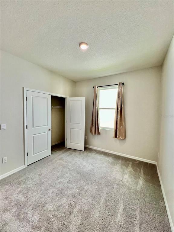 33869 Field Maple Loop Wesley Chapel, FL 33545 - Photo 22 of 37