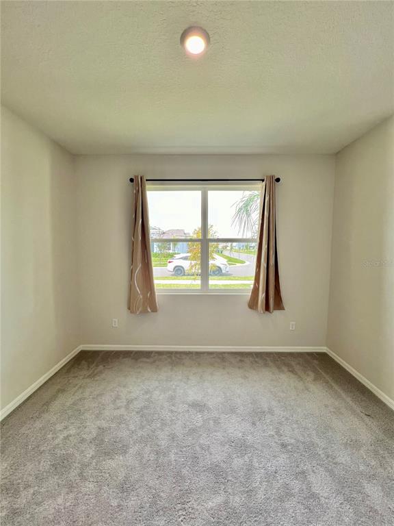 33869 Field Maple Loop Wesley Chapel, FL 33545 - Photo 24 of 37