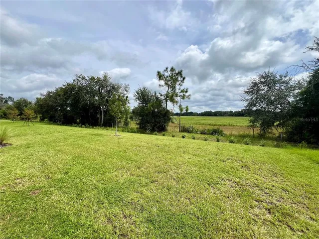 $2,045 | 33869 Field Maple Loop, Wesley Chapel, FL 33545