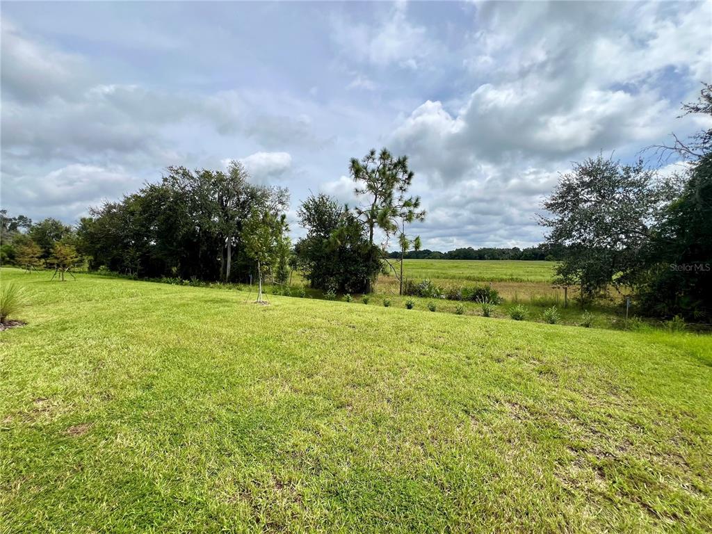 33869 Field Maple Loop Wesley Chapel, FL 33545 - Photo 29 of 37