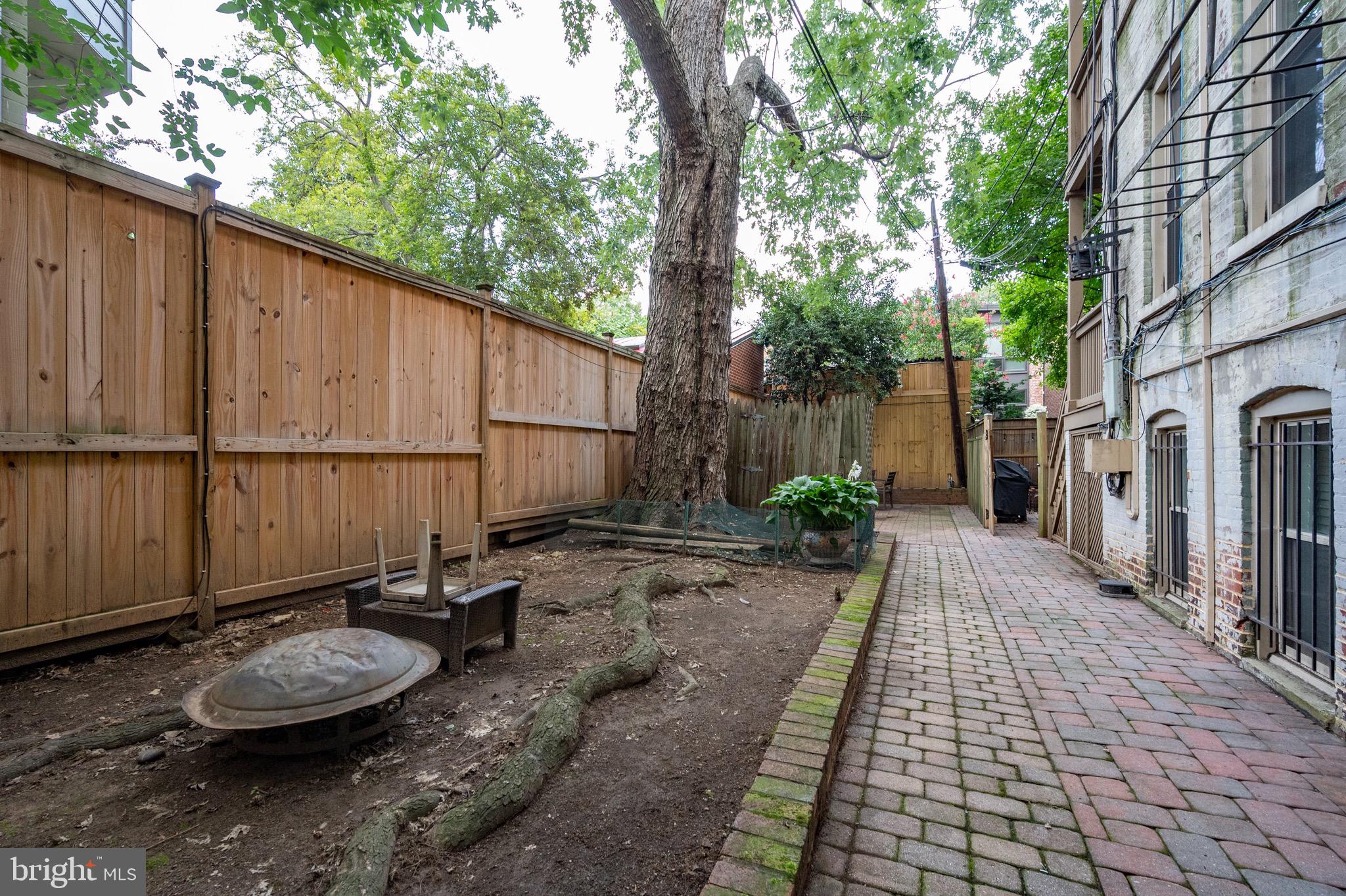 216 4th Street Southeast Washington, DC 20003 - Photo 63 of 85