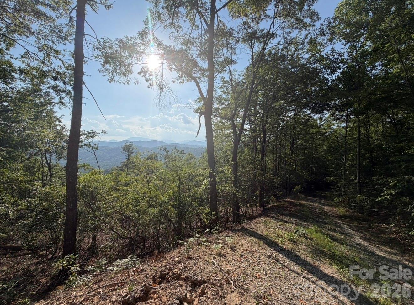 Off Old Toxaway Road Brevard, NC 28712 - Photo 29 of 32 Gallery Image 29