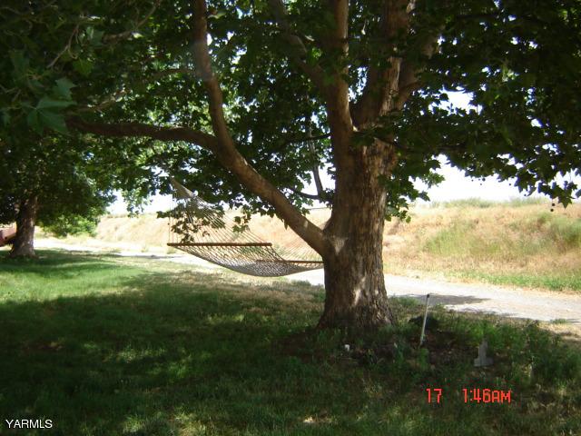5711 Lateral A Road Wapato, WA 98951 - Photo 15 of 16 a view of a tree in a yard