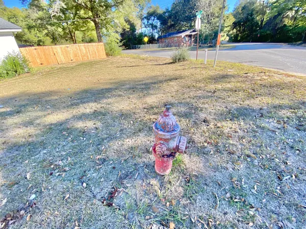 a view of a yard with a tree