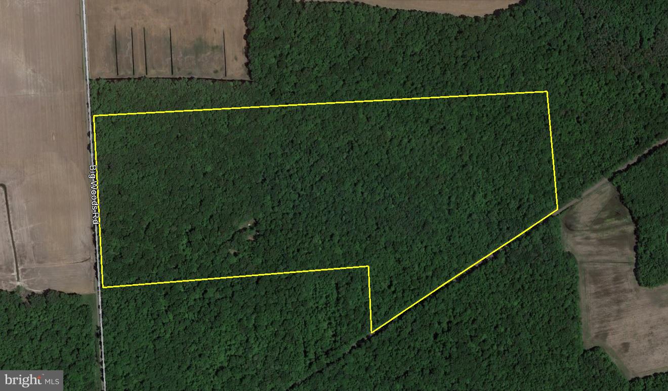 Big Woods Road Barclay, MD 21607 - Photo 1 of 1 Gallery Image 1