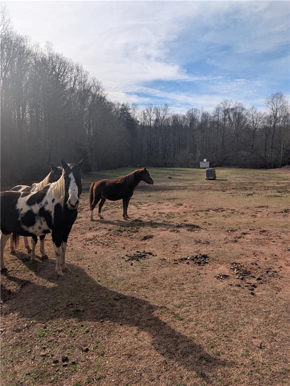 330 Davidson Road Cleveland, GA 30528 - Photo 20 of 25