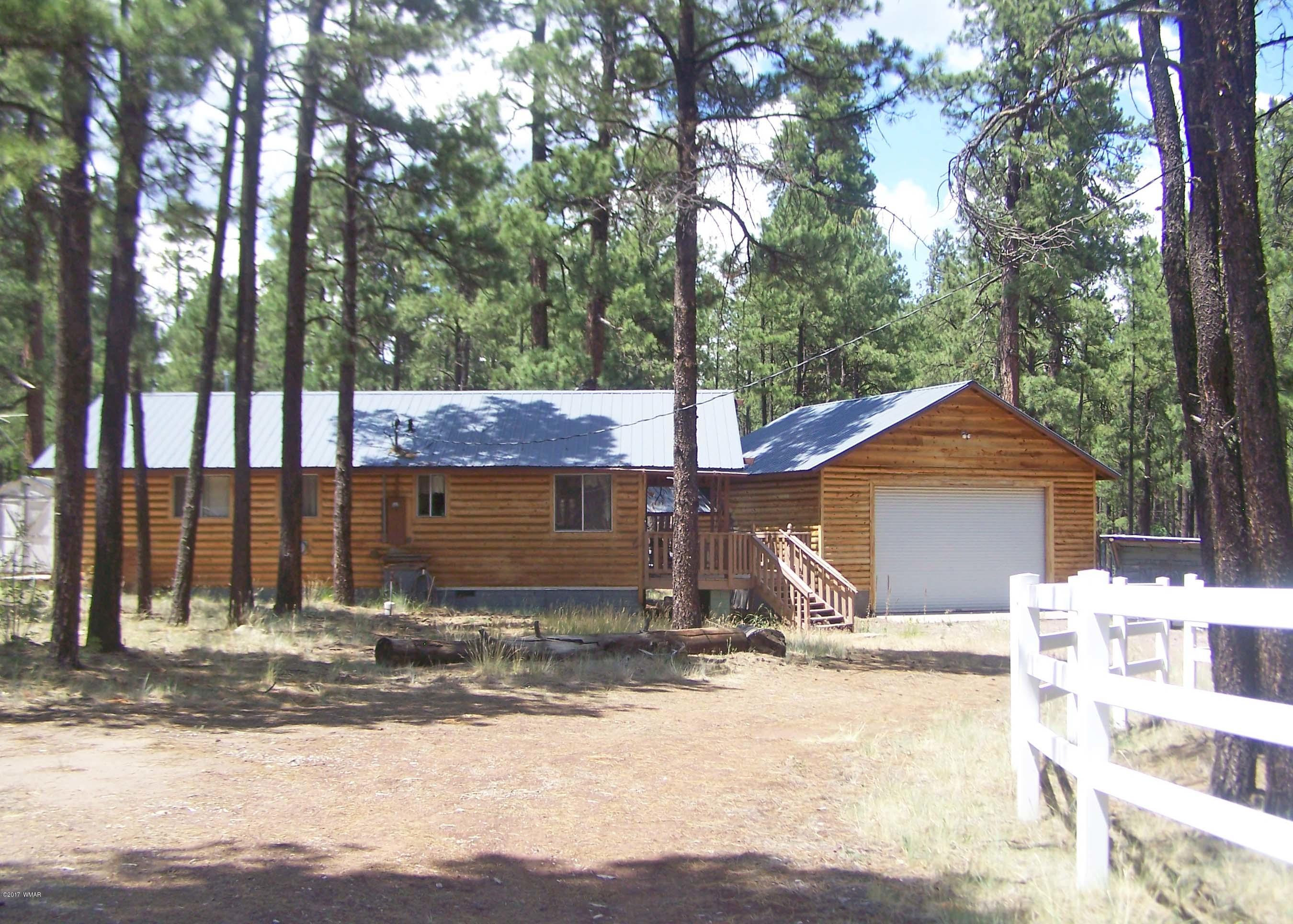 11 County Road Alpine, AZ 85920 - Photo 2 of 22