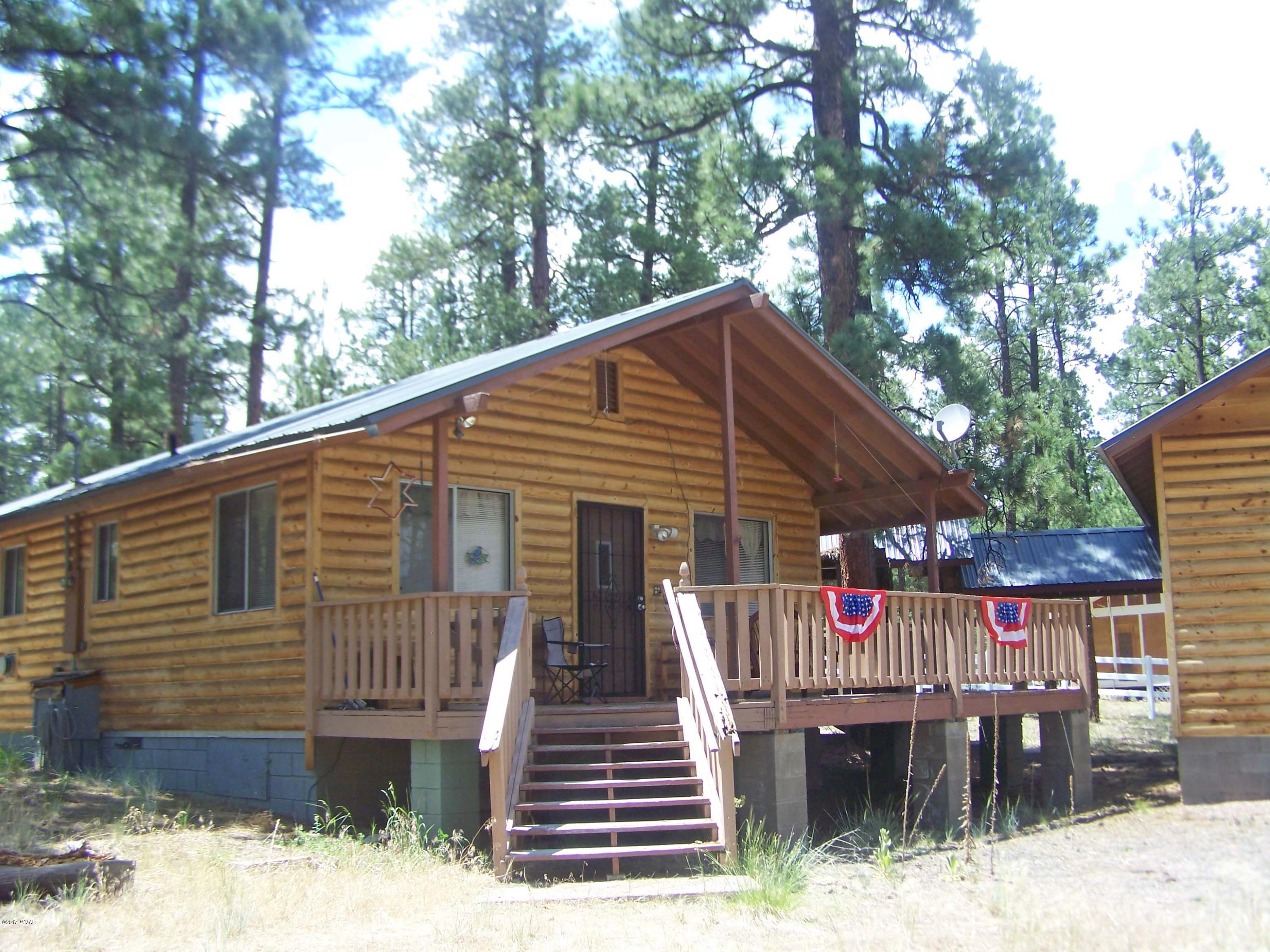 11 County Road Alpine, AZ 85920 - Photo 3 of 22
