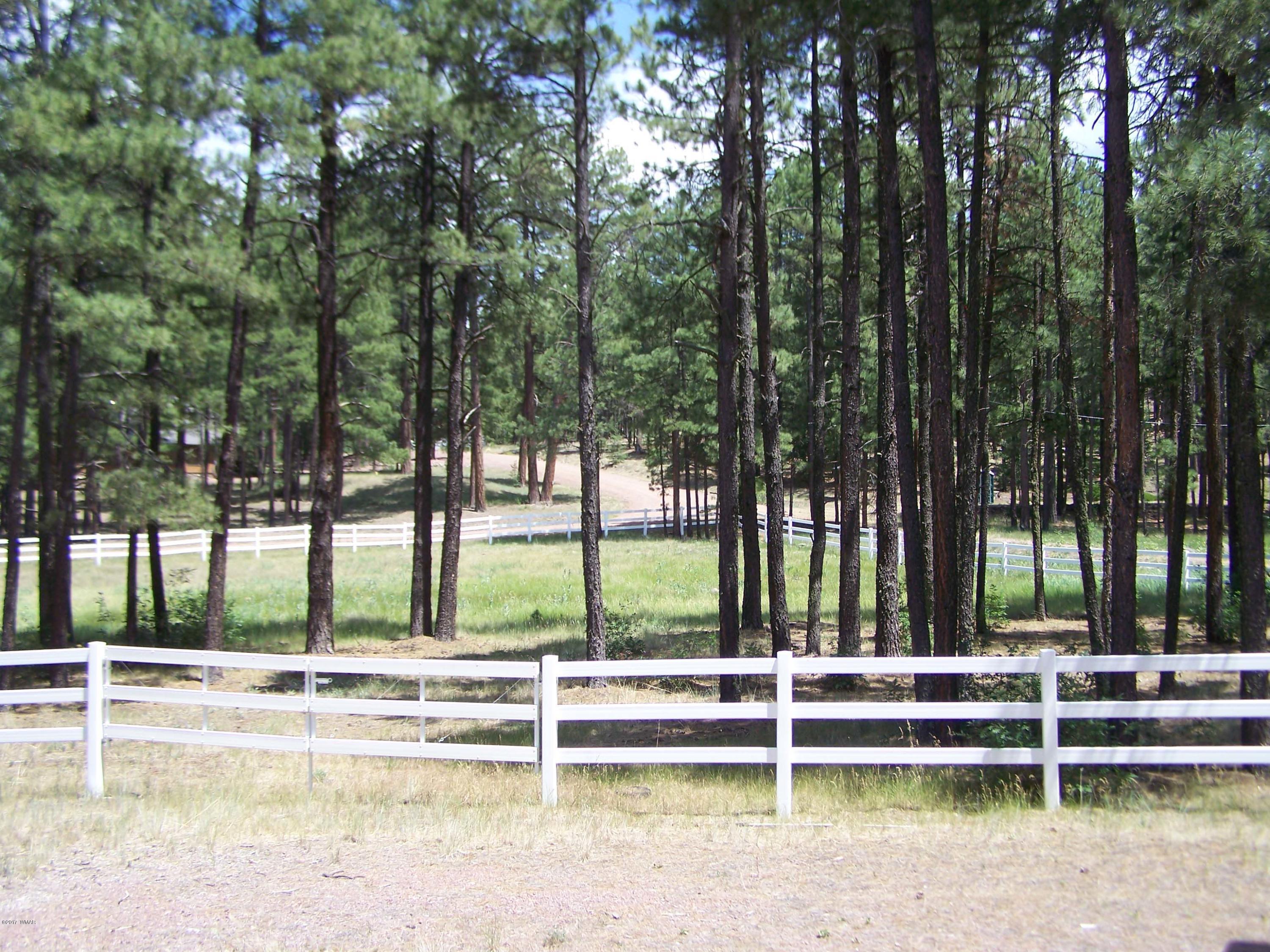 11 County Road Alpine, AZ 85920 - Photo 7 of 22