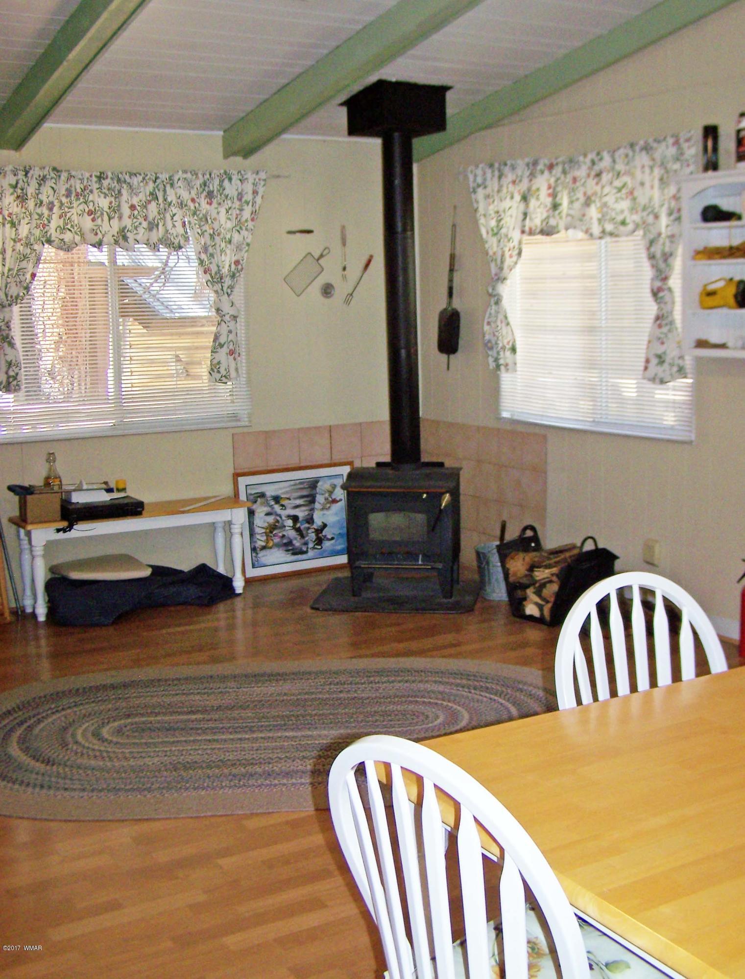 11 County Road Alpine, AZ 85920 - Photo 9 of 22