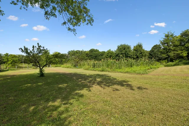 a view of a yard with a tree