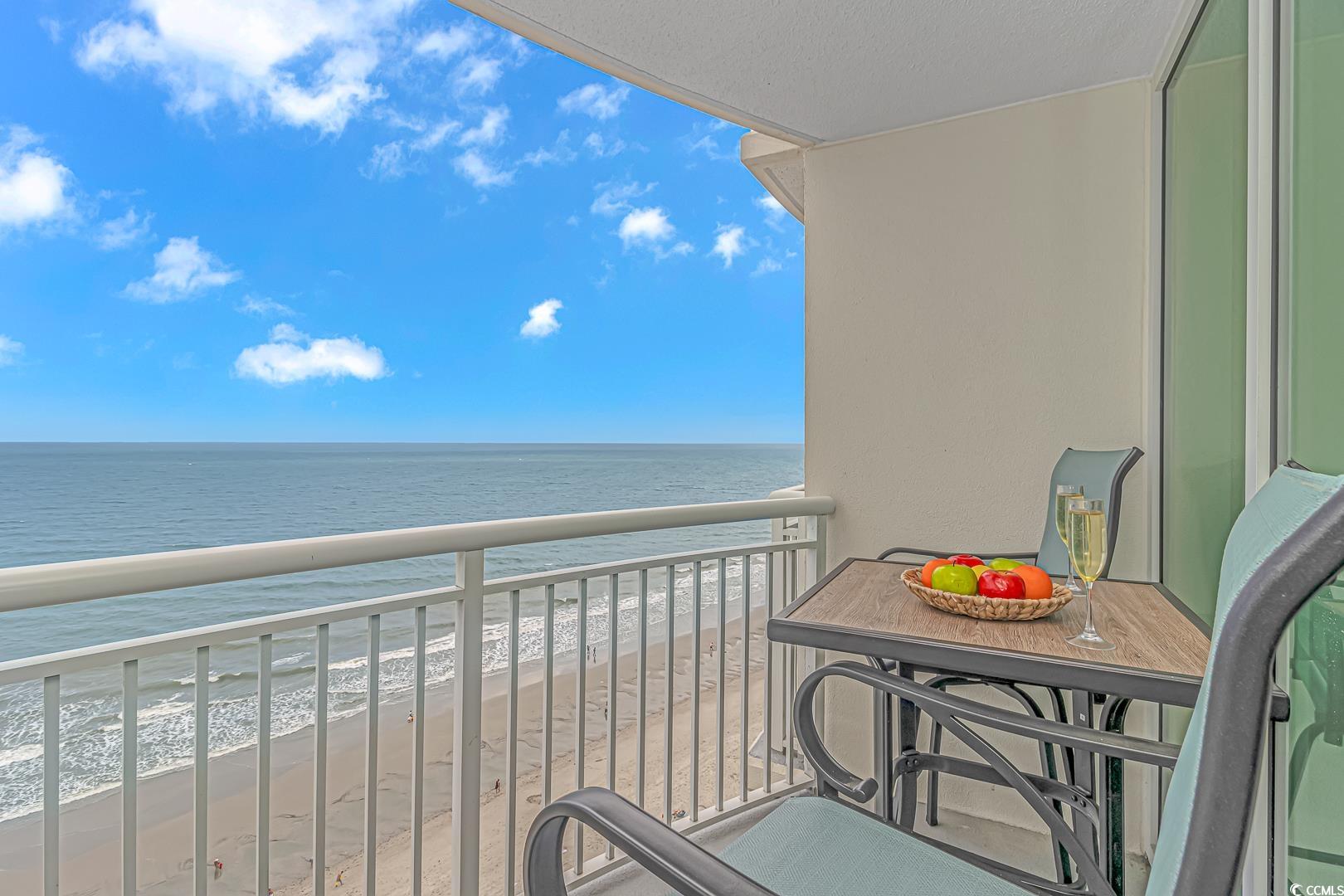 201 South Ocean Boulevard, Unit 1610 Myrtle Beach, SC 29577 - Photo 26 of 40 Balcony featuring view of water and beach and a baseboard radiator