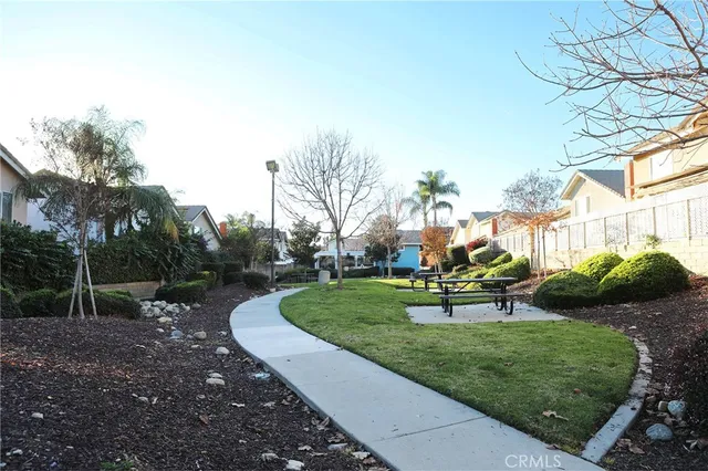 a view of a garden with plants and a bench