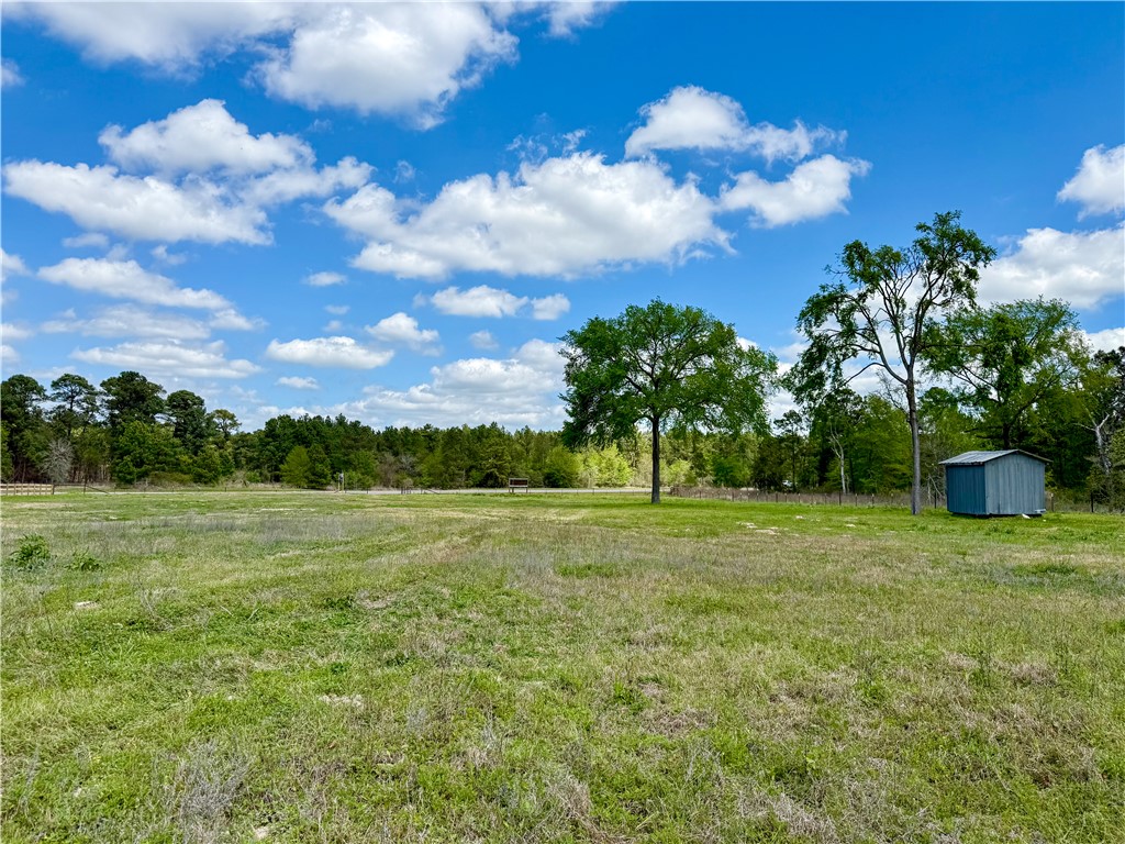 12082 State Highway 30 Anderson, TX 77830 - Photo 15 of 18