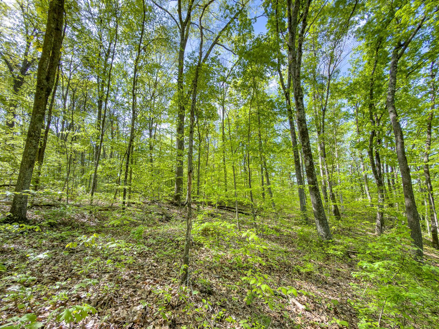 2 Perry Ridge Road Wilkesville, OH 45695 - Photo 25 of 27 Perry Ridge Rd Tract 2-17