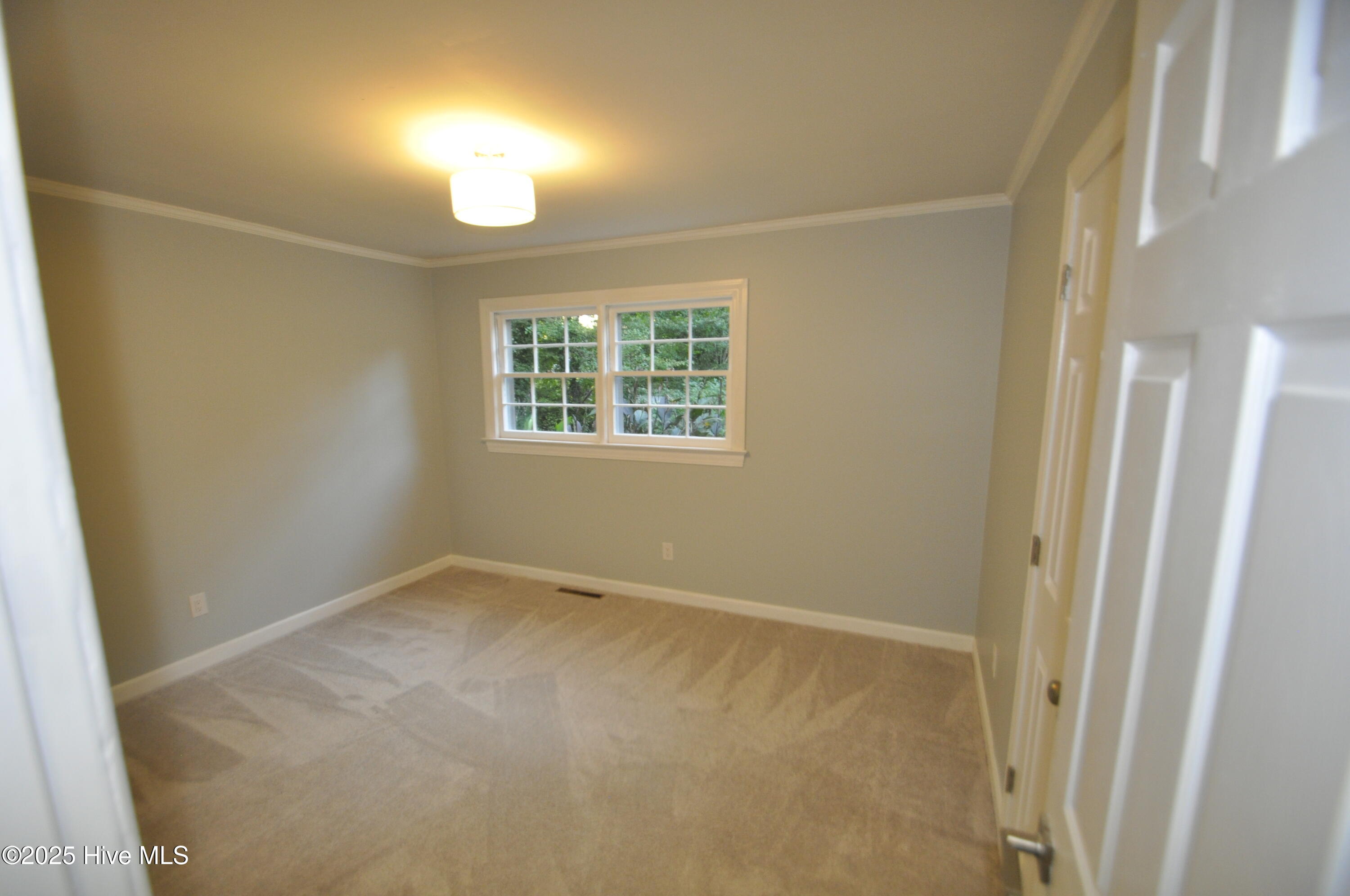 3807 Random Road Kinston, NC 28504 - Photo 24 of 46 45