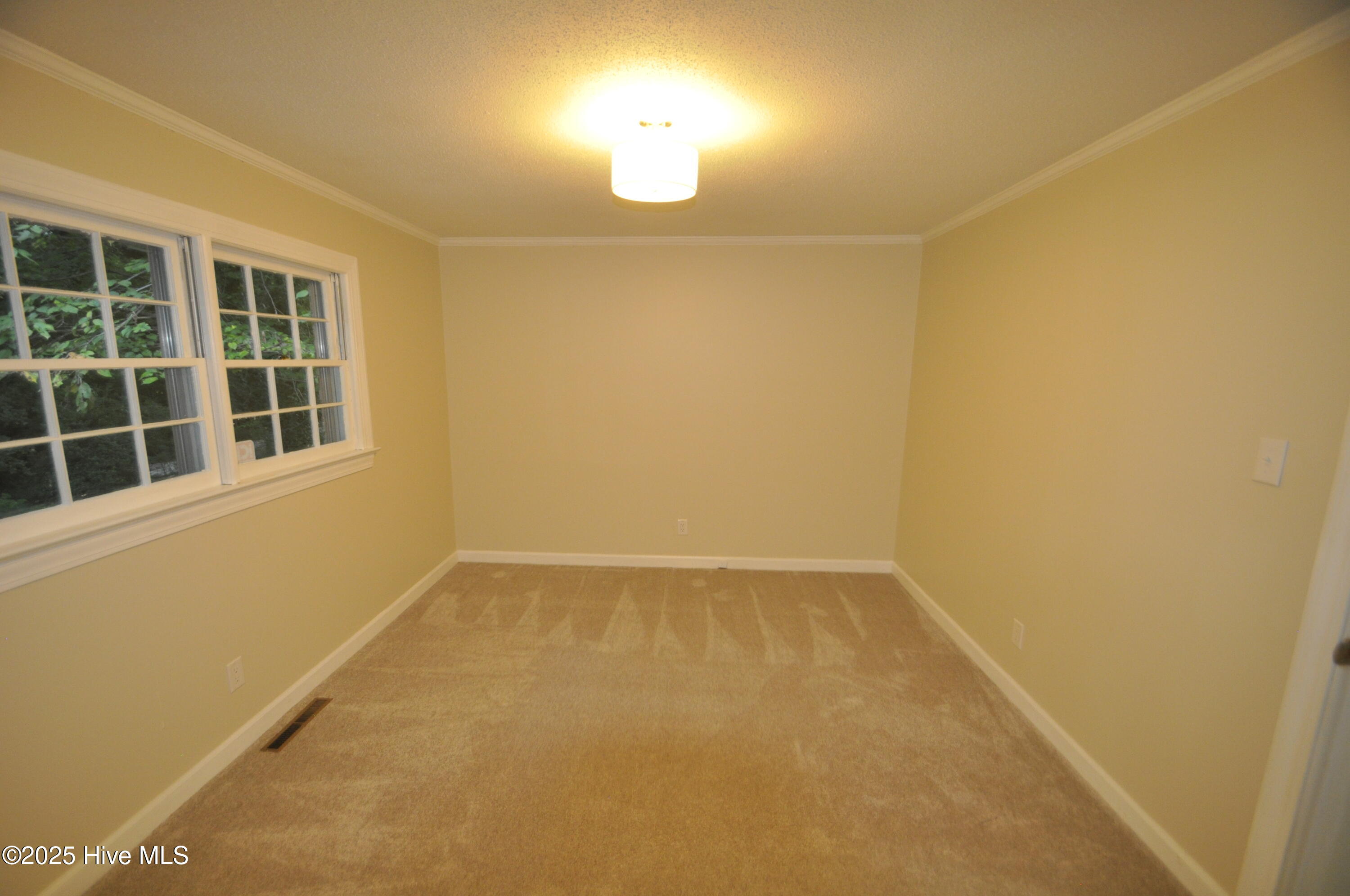 3807 Random Road Kinston, NC 28504 - Photo 30 of 46 56