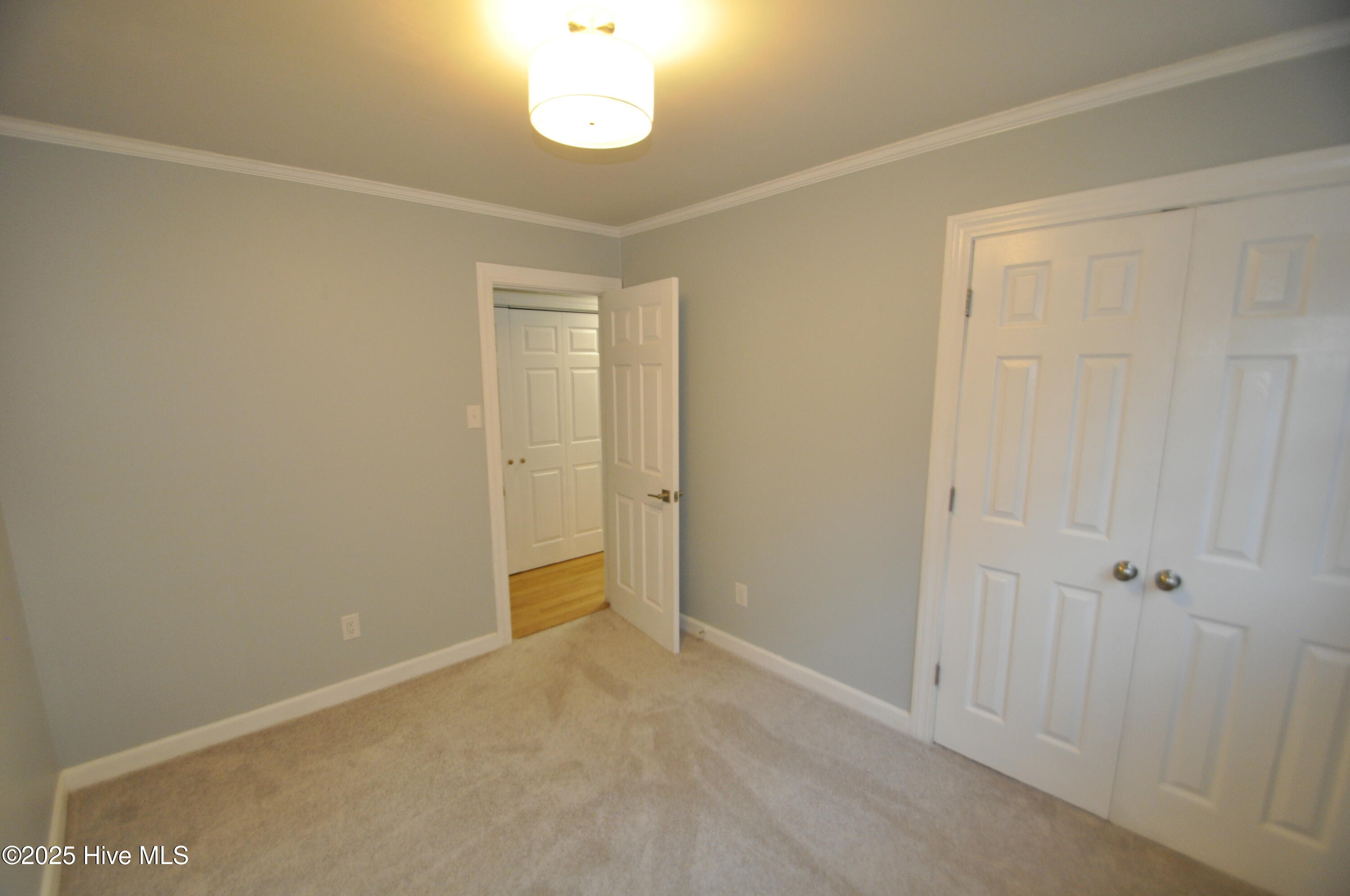 3807 Random Road Kinston, NC 28504 - Photo 42 of 46 44