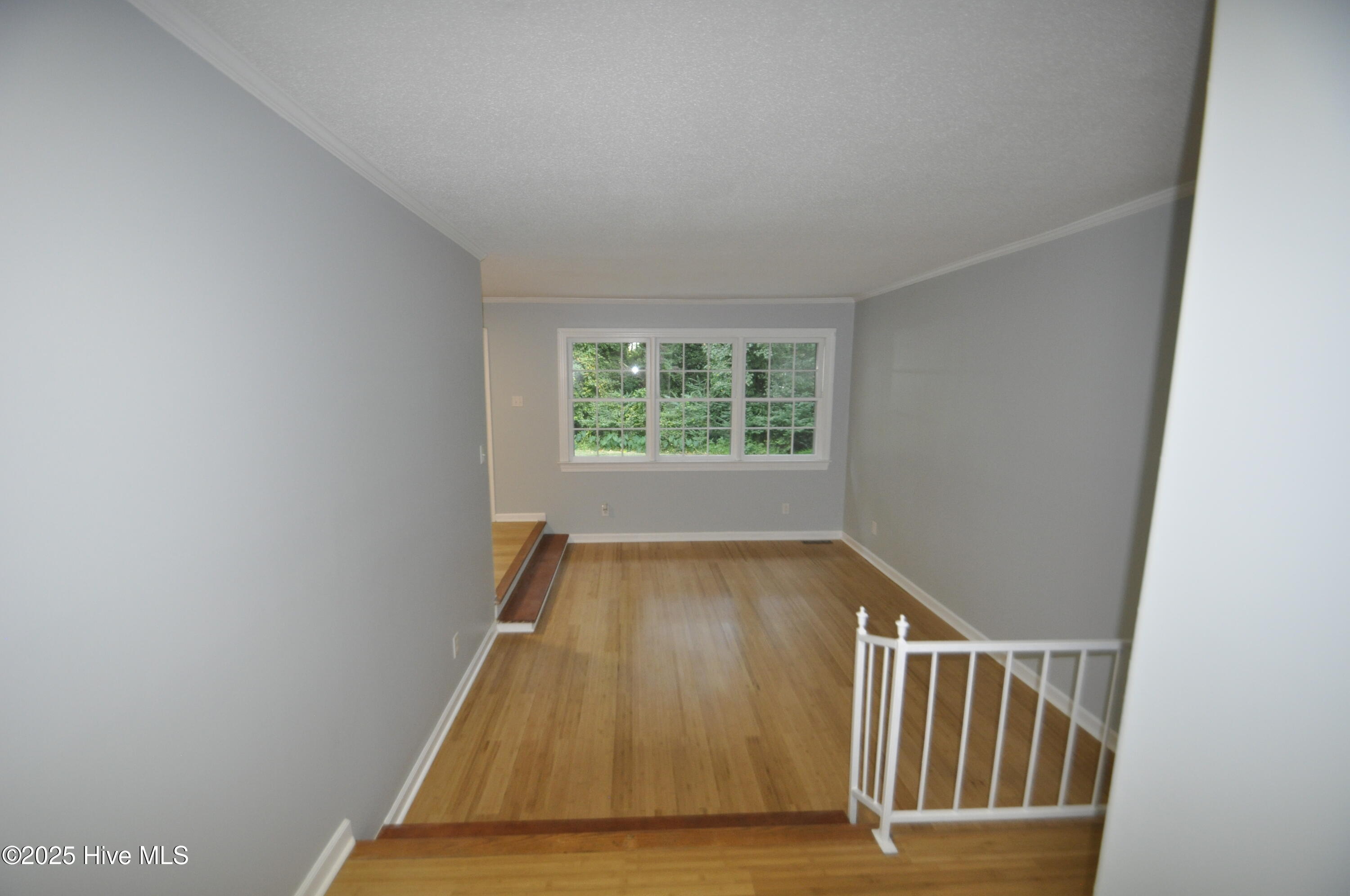 3807 Random Road Kinston, NC 28504 - Photo 43 of 46 20