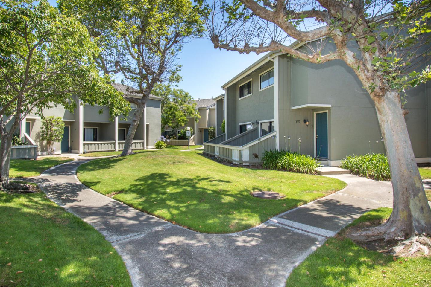 810 Juno Lane Foster City, CA 94404 - Photo 35 of 43 a house with trees in front of it