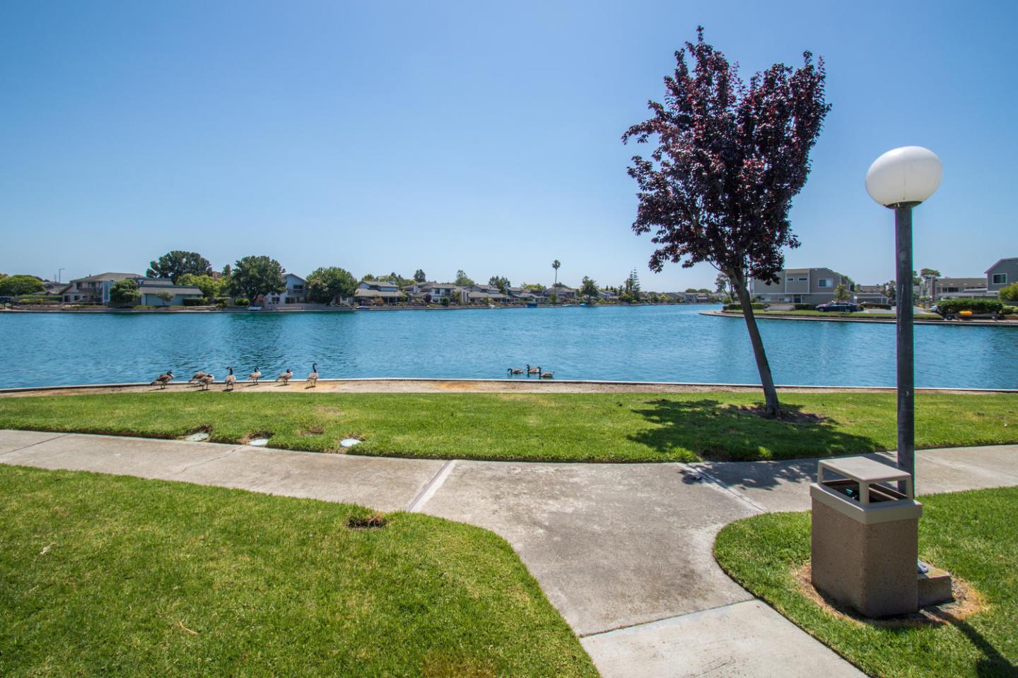 810 Juno Lane Foster City, CA 94404 - Photo 36 of 43 a view of a lake with a yard and outdoor seating