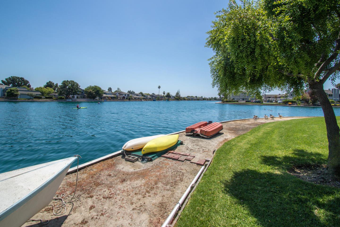 810 Juno Lane Foster City, CA 94404 - Photo 37 of 43 a view of a lake with a yard