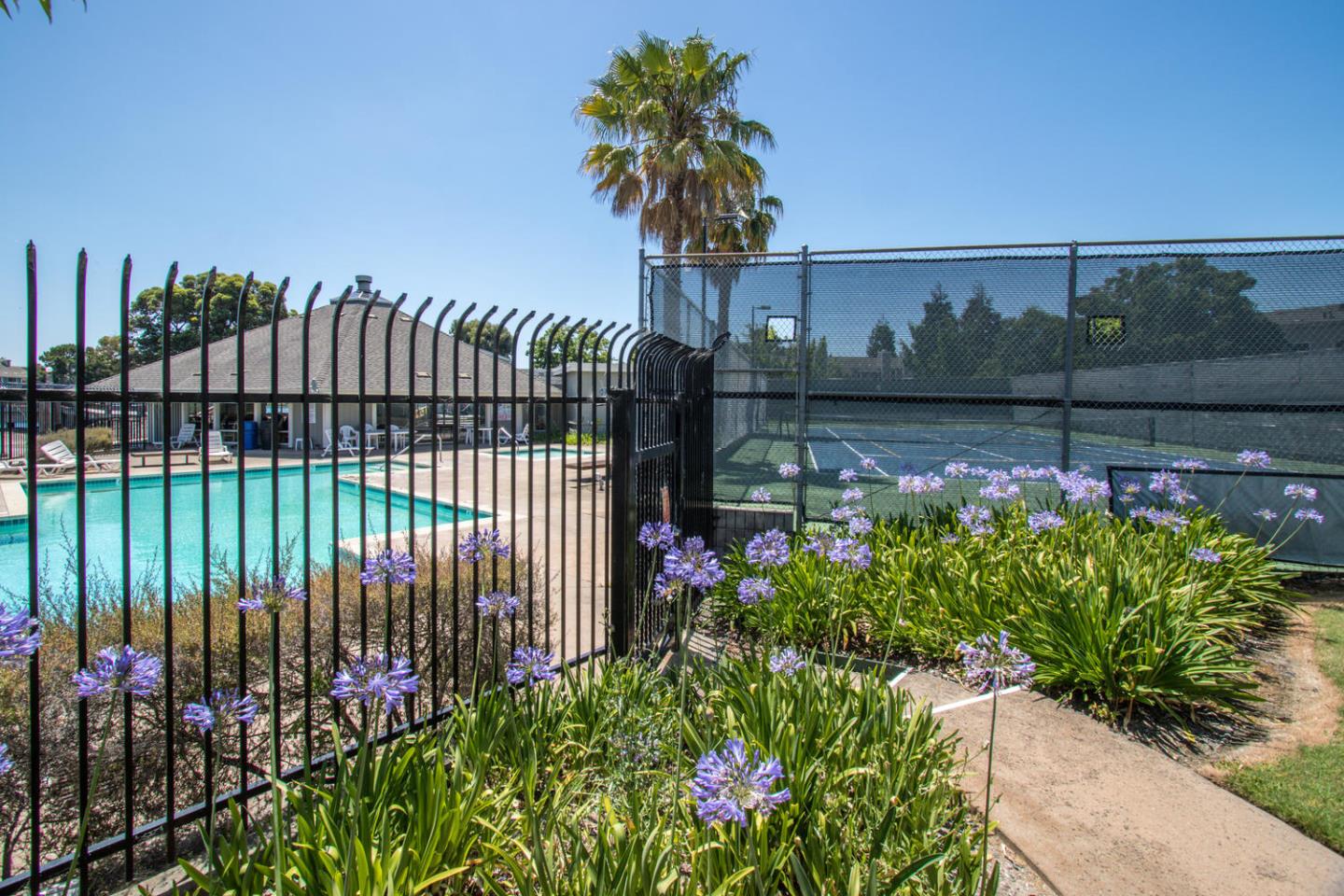 810 Juno Lane Foster City, CA 94404 - Photo 40 of 43 a view of a flower garden