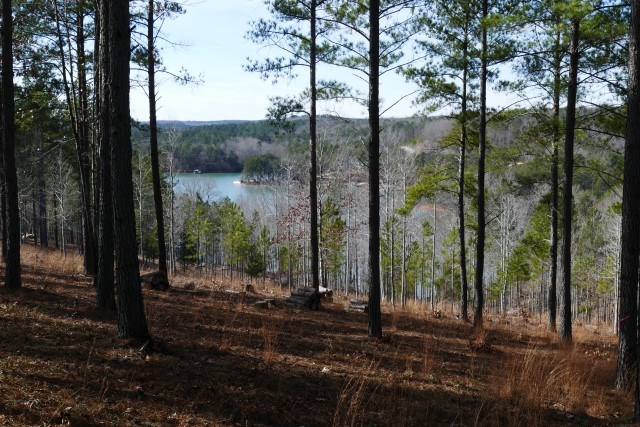 Lot 54 Highland Ridge Road Salem, SC 29676 - Photo 1 of 10 Gallery Image 1