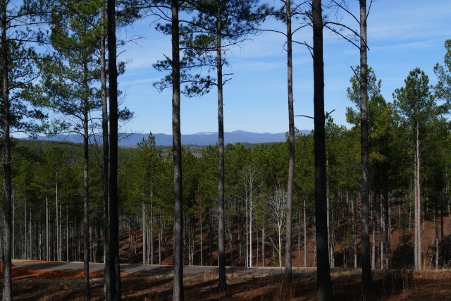 Lot 54 Highland Ridge Road Salem, SC 29676 - Photo 2 of 10 Gallery Image 2
