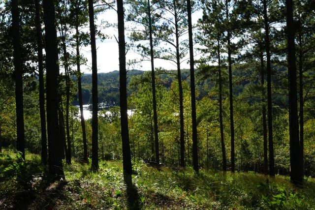 Lot 54 Highland Ridge Road Salem, SC 29676 - Photo 4 of 10 Gallery Image 4