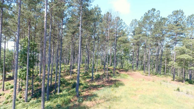Lot 54 Highland Ridge Road Salem, SC 29676 - Photo 7 of 10 Gallery Image 7