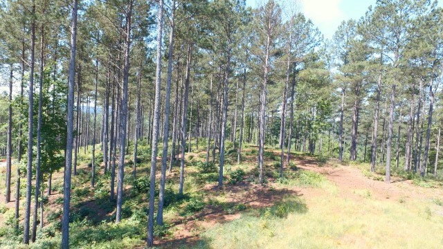 Lot 54 Highland Ridge Road Salem, SC 29676 - Photo 8 of 10 Gallery Image 8