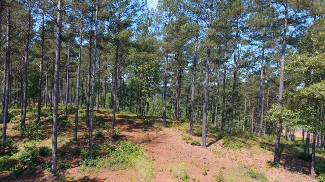 Lot 54 Highland Ridge Road Salem, SC 29676 - Photo 10 of 10 Gallery Image 10