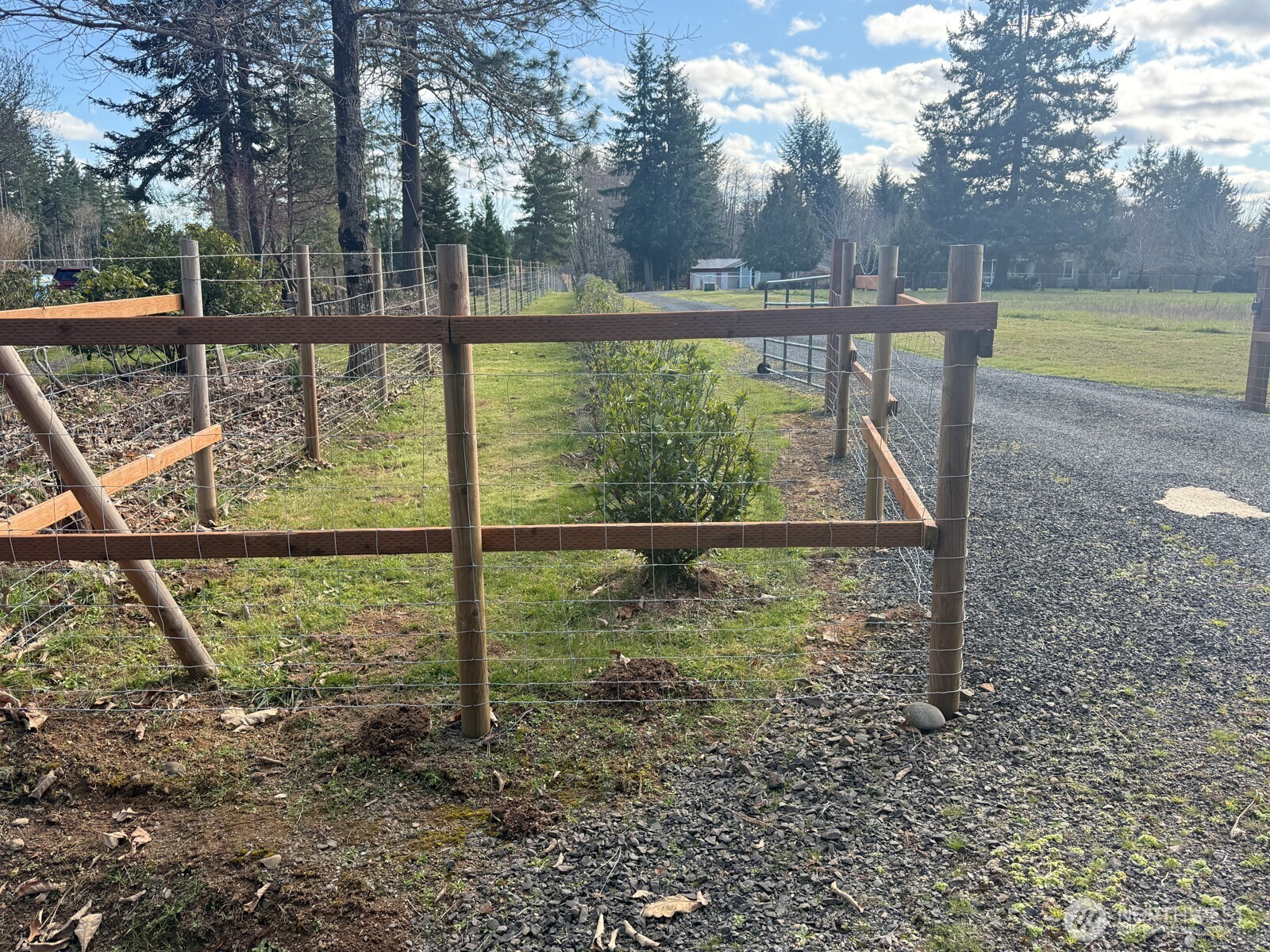 413 Haywire Road Winlock, WA 98596 - Photo 11 of 40 Gallery Image 11