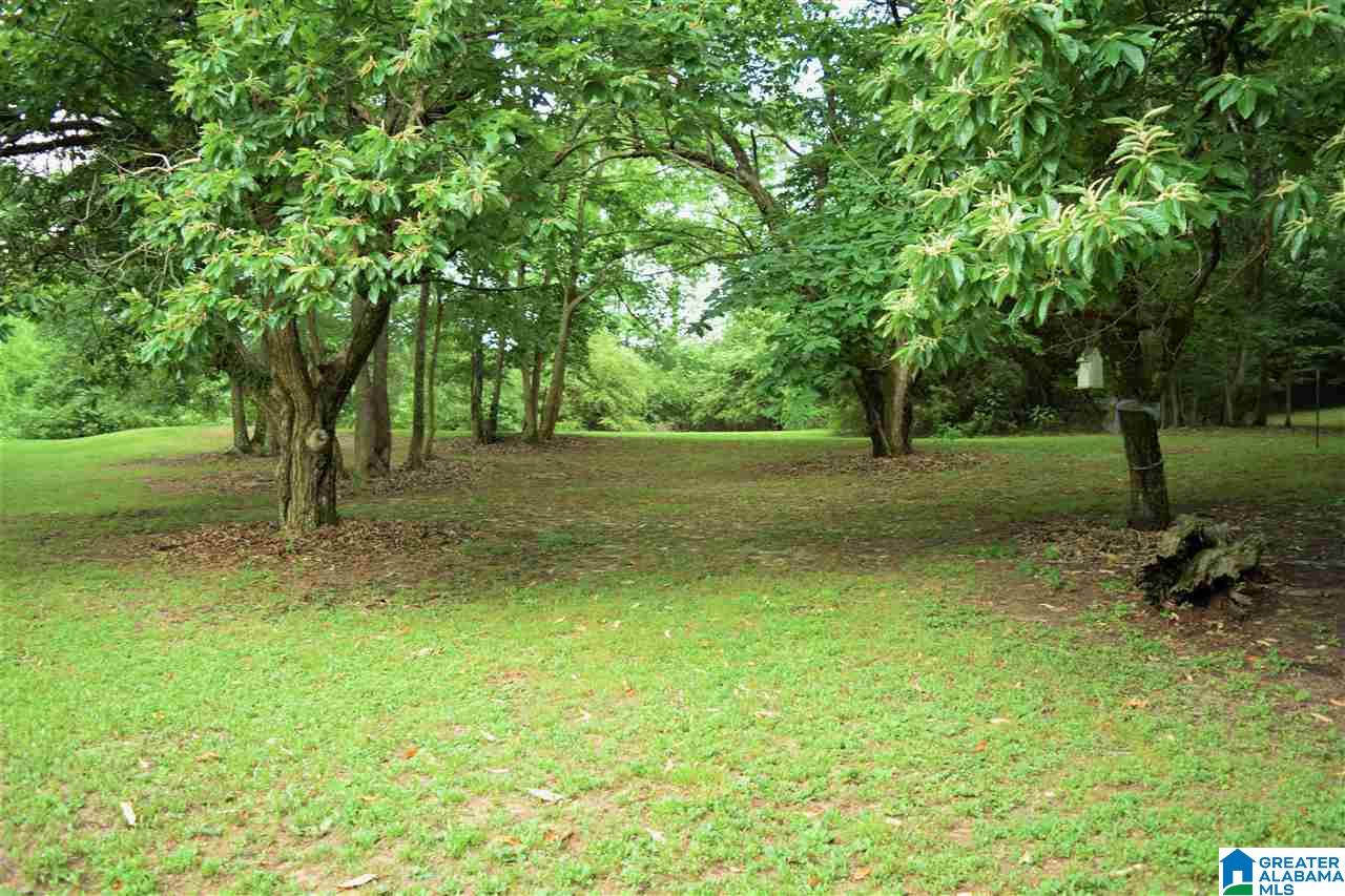 56411 Highway 231 Oneonta, AL 35121 - Photo 41 of 50