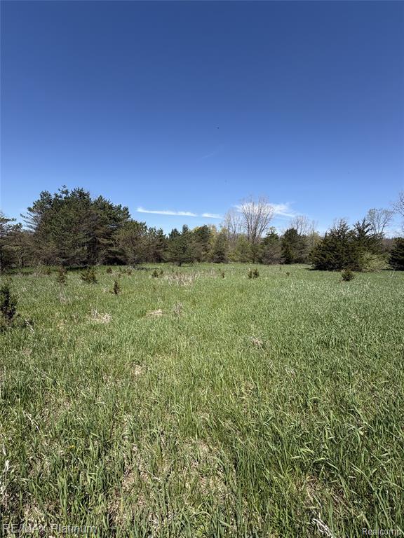 Parcel 2 Pineway Trail Howell, MI 48855 - Photo 4 of 15