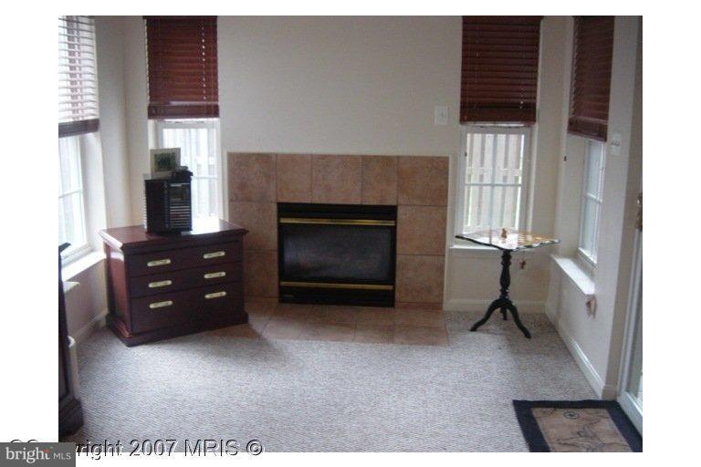 43663 Scarlet Square Chantilly, VA 20152 - Photo 8 of 20 Fireplace