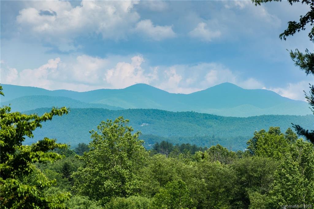 70 Rock Rest Road, Unit 1 Hendersonville, NC 28739 - Photo 7 of 30 Gallery Image 7
