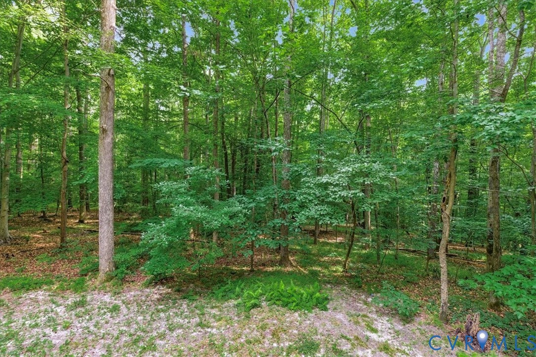 4099 Doe Run Road Hopewell, VA 23860 - Photo 12 of 36 Wooded grounds featuring mature deciduous trees an