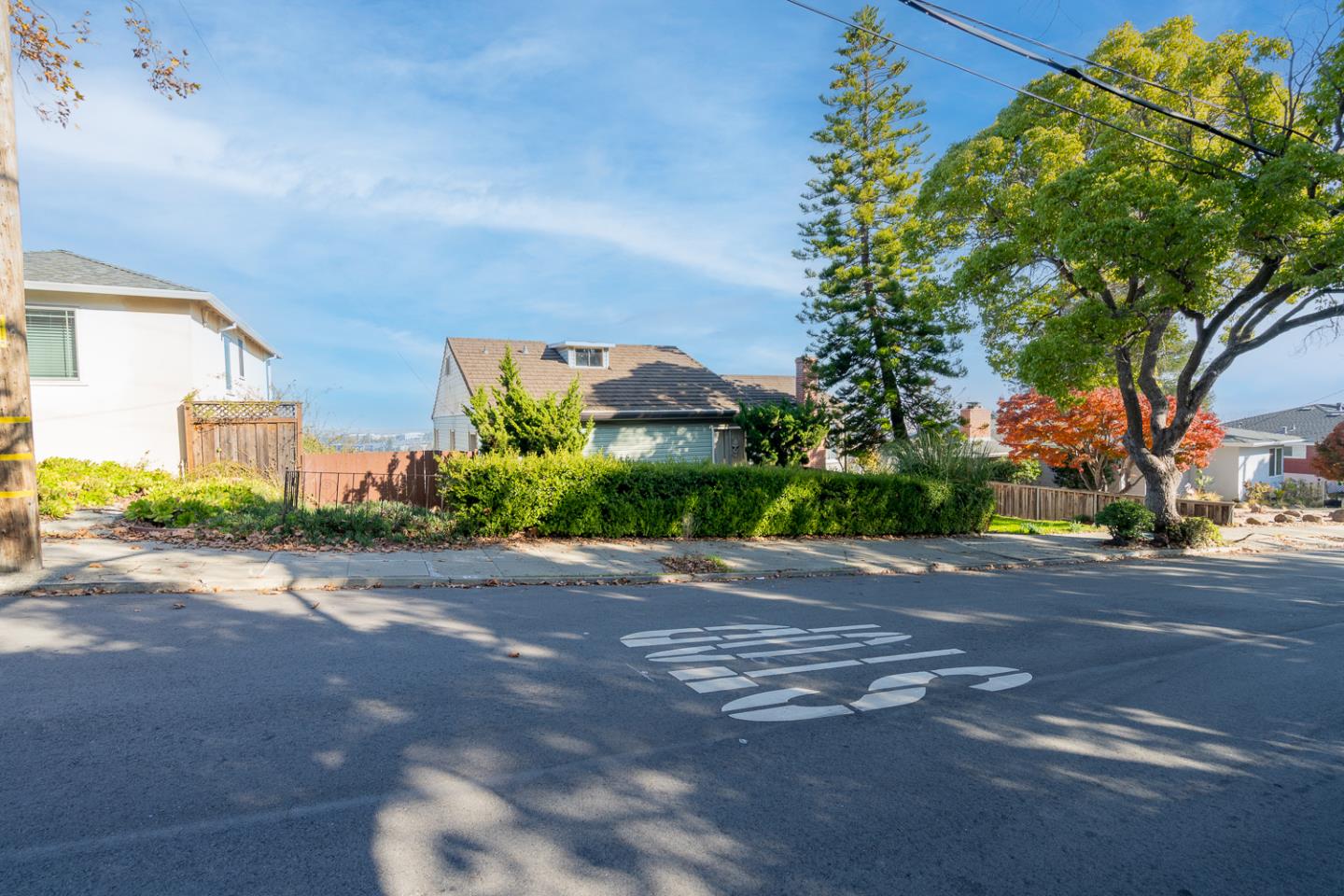 265 Chestnut Street San Carlos, CA 94070 - Photo 2 of 13