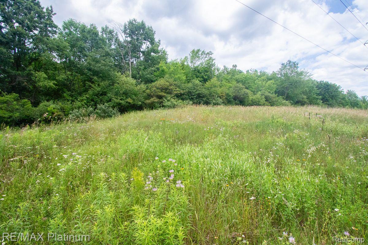 8264 Green Road Fenton, MI 48430 - Photo 35 of 40 Open