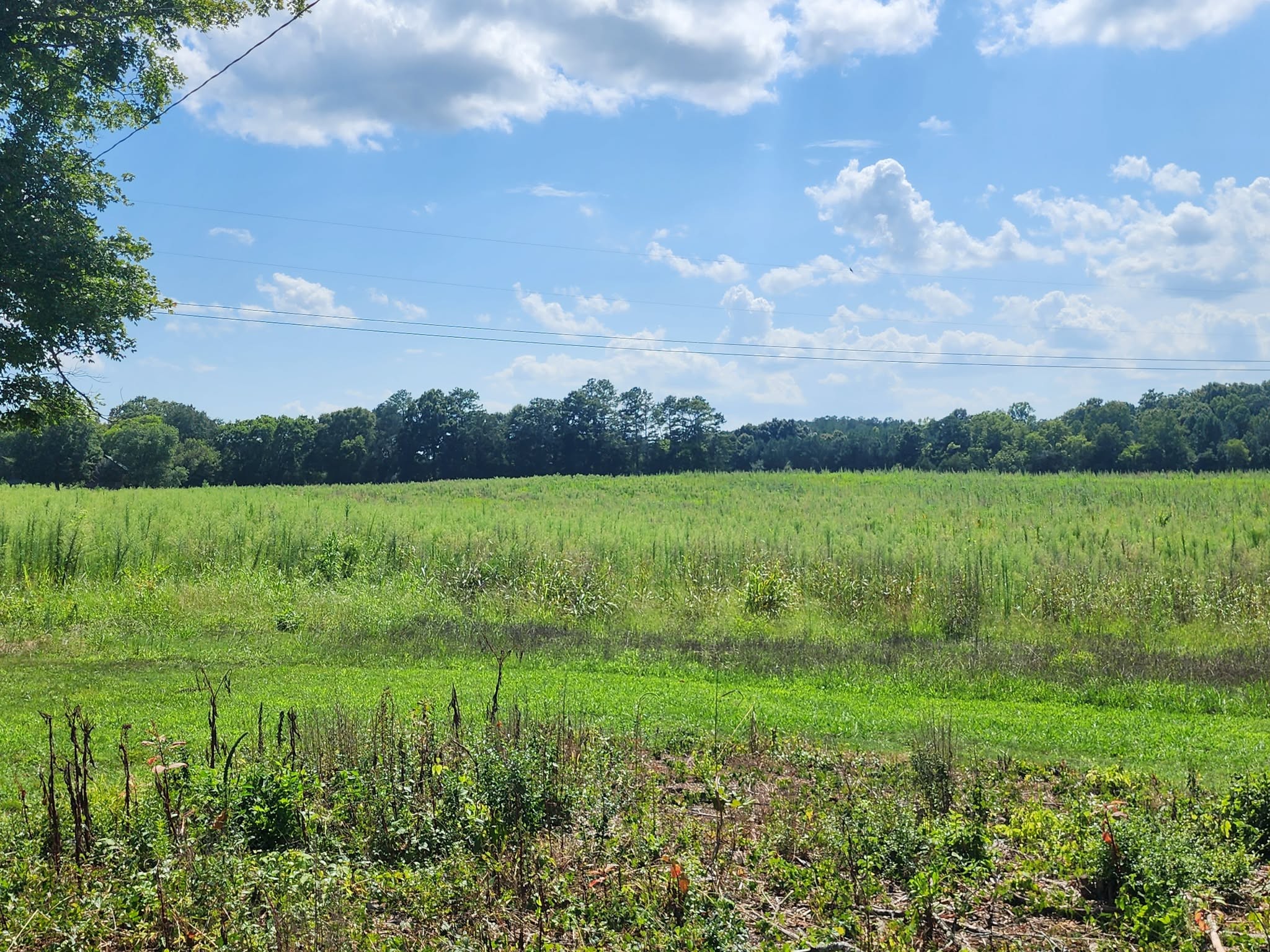 184 Tunnel Hill Road Southwest Cleveland, TN 37311 - Photo 22 of 23 Gallery Image 22